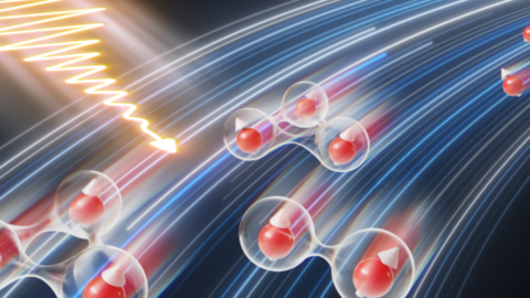 Dynamic Entanglement correlations